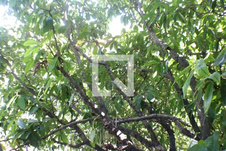 Quarto de apartamento para alugar com 1 quarto, 60m² em Curicica, Rio de Janeiro