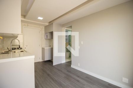 Sala de apartamento para alugar com 2 quartos, 45m² em Cambuci, São Paulo