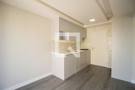 Sala de apartamento para alugar com 2 quartos, 45m² em Cambuci, São Paulo