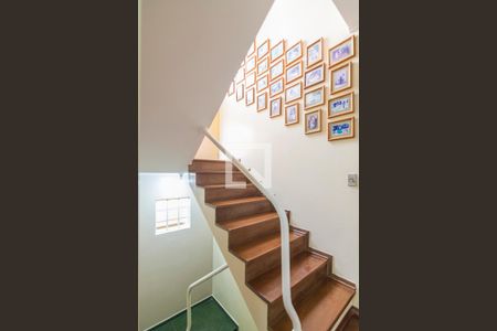 Escada de casa para alugar com 3 quartos, 202m² em Vila Floresta, Santo André