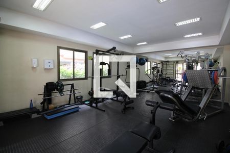 Apartamento à venda com 72m², 2 quartos e 1 vaga Apartamento à venda com 72m², 2 quartos e 1 vagaÁrea comum - Academia