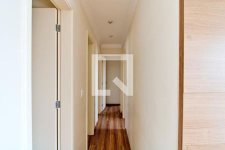 Corredor de apartamento para alugar com 3 quartos, 86m² em Lar São Paulo, São Paulo