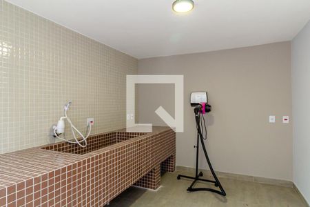 Apartamento para alugar com 48m², 1 quarto e 1 vagaÁrea comum - Pet Care
