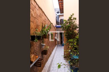 Casa à venda com 215m², 5 quartos e 2 vagasQuintal