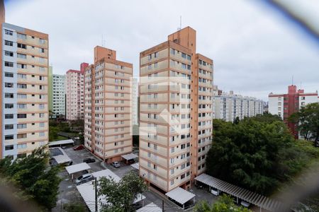 Apartamento para alugar com 50m², 2 quartos e 1 vagaVista do Quarto 1