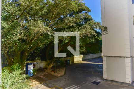 Vista da Sala de apartamento à venda com 2 quartos, 48m² em Rubem Berta, Porto Alegre