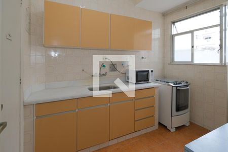Apartamento à venda com 60m², 2 quartos e sem vagaCozinha - Armários