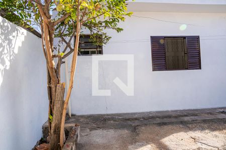 Casa para alugar com 71m², 2 quartos e sem vagaQuintal
