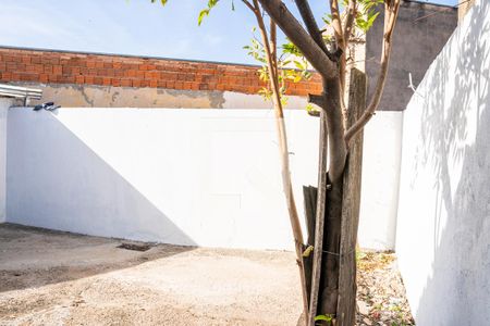 Casa para alugar com 71m², 2 quartos e sem vagaQuintal