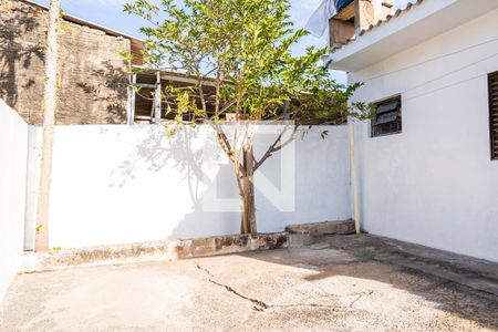 Casa para alugar com 71m², 2 quartos e sem vagaQuintal