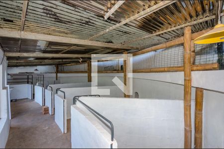 Casa de condomínio à venda com 700m², 4 quartos e 5 vagas Casa de condomínio à venda com 700m², 4 quartos e 5 vagasÁrea Externa - Quintal