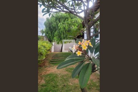 Casa à venda com 100m², 3 quartos e 3 vagas