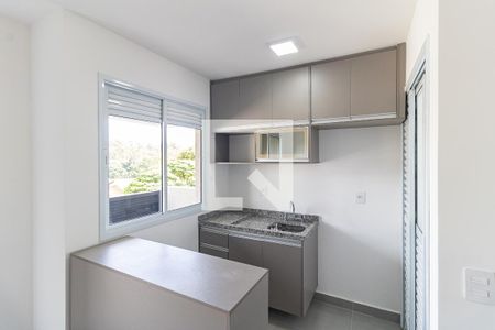 Cozinha de apartamento para alugar com 1 quarto, 40m² em Aclimação, São Paulo