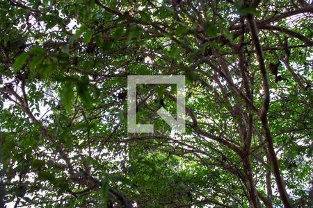 Casa à venda com 320m², 3 quartos e 5 vagasVista do Quarto 1