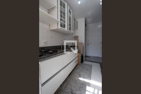 Apartamento para alugar com 53m², 3 quartos e sem vagaCozinha 