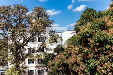 Vista do Quarto 1 de apartamento à venda com 2 quartos, 50m² em São João Batista, Belo Horizonte
