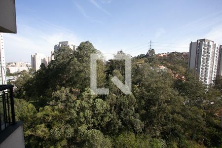 vista de apartamento para alugar com 2 quartos, 67m² em Vila Andrade, São Paulo