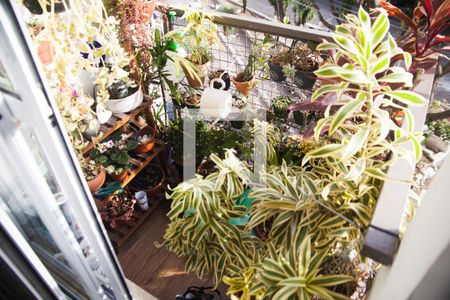 Apartamento para alugar com 33m², 1 quarto e sem vagaSacada