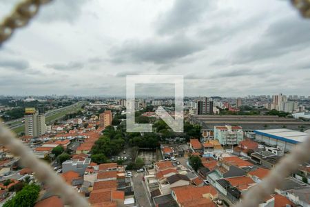 Apartamento para alugar com 67m², 3 quartos e 2 vagas Apartamento para alugar com 67m², 3 quartos e 2 vagasVista do Quarto 2