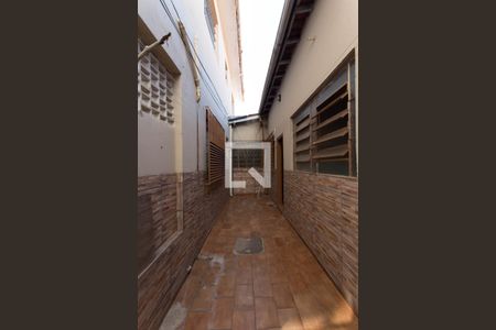 Casa para alugar com 75m², 2 quartos e sem vagaQuintal