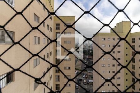 Apartamento para alugar com 73m², 3 quartos e 1 vagaVista da Lavanderia 