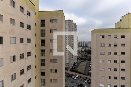 Vista do Quarto 1 de apartamento para alugar com 3 quartos, 73m² em Vila Moraes, São Paulo
