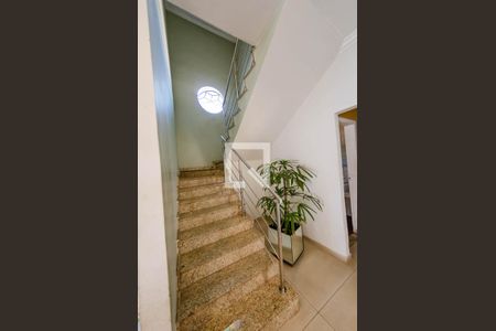 Escada de casa para alugar com 4 quartos, 360m² em Dom Bosco, Belo Horizonte