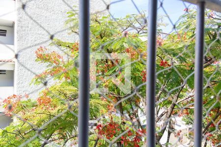 Apartamento para alugar com 46m², 2 quartos e 1 vagaVista do Quarto 2