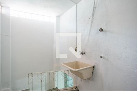 Área de Serviço de casa para alugar com 2 quartos, 50m² em Vila Iório, São Paulo