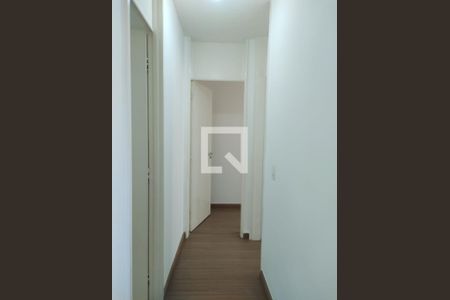 Corredor de apartamento para alugar com 2 quartos, 47m² em Jardim Íris, São Paulo