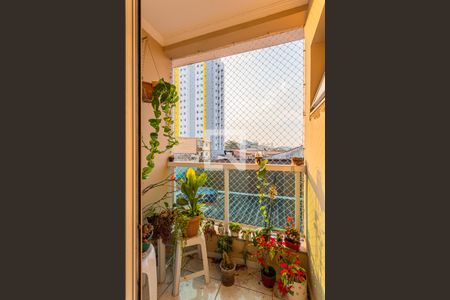 Apartamento à venda com 180m², 3 quartos e 3 vagas Apartamento à venda com 180m², 3 quartos e 3 vagasVaranda da Suite