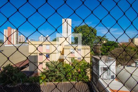 Apartamento para alugar com 109m², 3 quartos e 1 vaga Apartamento para alugar com 109m², 3 quartos e 1 vagaVista do quarto 2