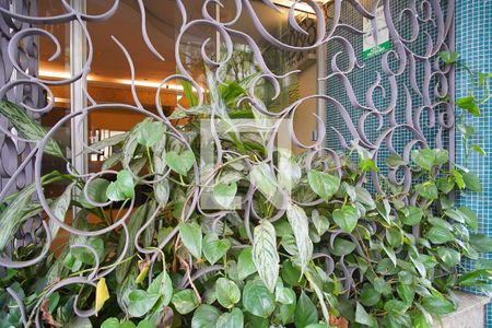 Apartamento à venda com 152m², 4 quartos e sem vagaArea comum 