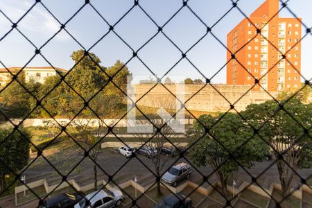 Apartamento para alugar com 74m², 3 quartos e 1 vagaVista do Quarto 2