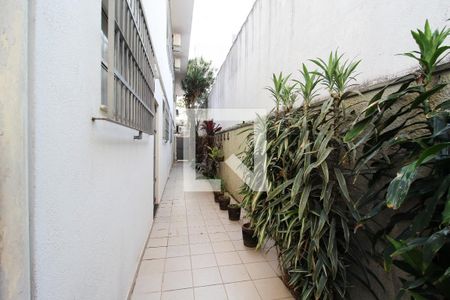 Casa para alugar com 367m², 4 quartos e 4 vagas Casa para alugar com 367m², 4 quartos e 4 vagasQuintal