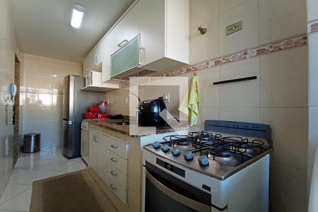 Apartamento à venda com 73m², 3 quartos e 1 vagaCozinha - Armários