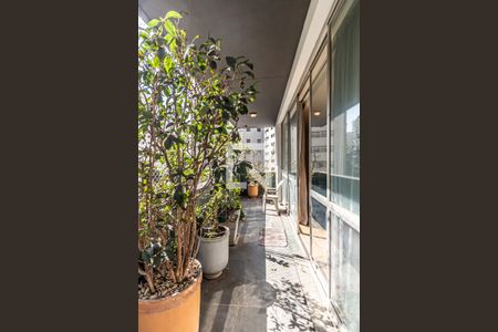 Apartamento à venda com 260m², 3 quartos e 2 vagas Apartamento à venda com 260m², 3 quartos e 2 vagasVaranda