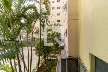Vista da Sala  de apartamento à venda com 3 quartos, 65m² em Vila Moraes, São Paulo