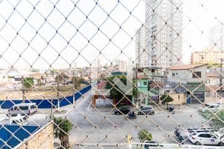 Apartamento para alugar com 113m², 3 quartos e 2 vagasVista da Varanda da Suíte