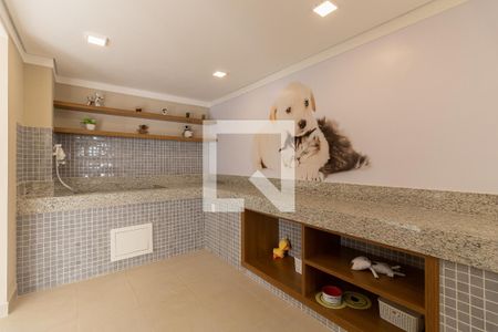 Apartamento para alugar com 33m², 2 quartos e sem vaga Apartamento para alugar com 33m², 2 quartos e sem vagaPet Care