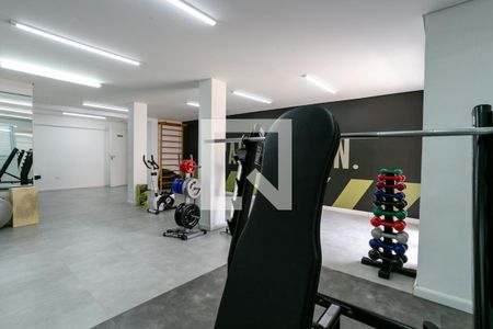 Apartamento para alugar com 52m², 2 quartos e 1 vaga Apartamento para alugar com 52m², 2 quartos e 1 vagaÁrea comum - Academia