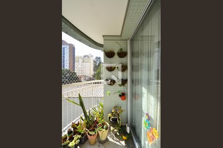 Varanda de apartamento à venda com 3 quartos, 124m² em Vila Clementino, São Paulo