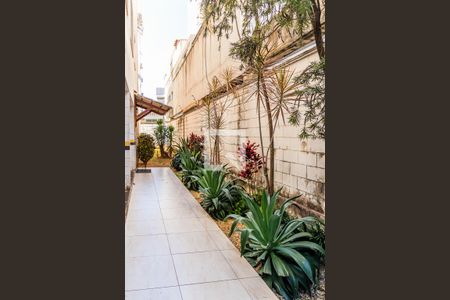 Apartamento para alugar com 49m², 2 quartos e 1 vaga Apartamento para alugar com 49m², 2 quartos e 1 vagaEntrada