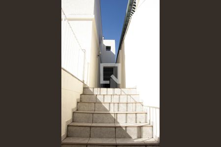 Escada de casa para alugar com 5 quartos, 350m² em Jardim Vera Cruz, São Paulo