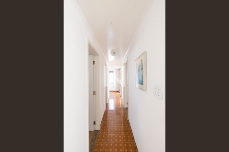 Corredor de apartamento para alugar com 3 quartos, 70m² em Vila Gomes Cardim, São Paulo