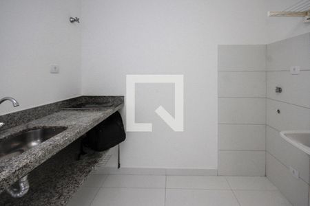 Cozinha de apartamento para alugar com 1 quarto, 33m² em Quinta da Paineira, São Paulo