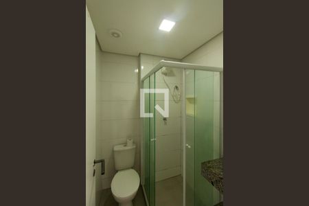 Banheiro de apartamento para alugar com 1 quarto, 30m² em Quinta da Paineira, São Paulo