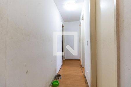 Corredor de apartamento para alugar com 3 quartos, 79m² em Aclimação, São Paulo