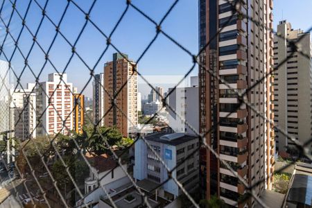 Apartamento à venda com 330m², 4 quartos e 4 vagasVaranda da Sala - Vista