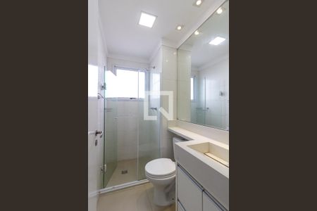 Banheiro de apartamento para alugar com 2 quartos, 50m² em Ocian, Praia Grande